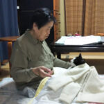 お布団の上に座り、見つめあう母とここ(猫)