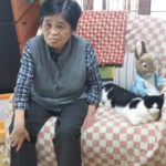 ソファでくつろぐ母とここ(猫)とうさぎのぬいぐるみの画像