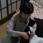 布団に座る母の膝の上に乗るここ(猫)