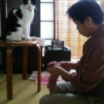 正座して手元を見ている母と丸椅子に座ってカメラ目線のここ(猫)