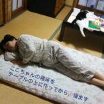 テーブルのタオルの上に寝るここ(猫)と布団の上で寝る母。