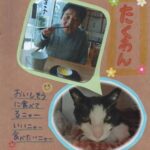 たくあんを食べる母とここ(猫)の画像