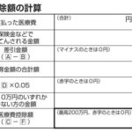 医療費控除の明細書の中でも、控除額を計算する表の画像