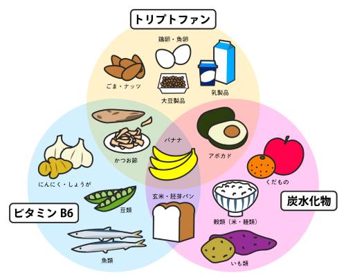 セロトニンを作る栄養素を含む食品のイラスト