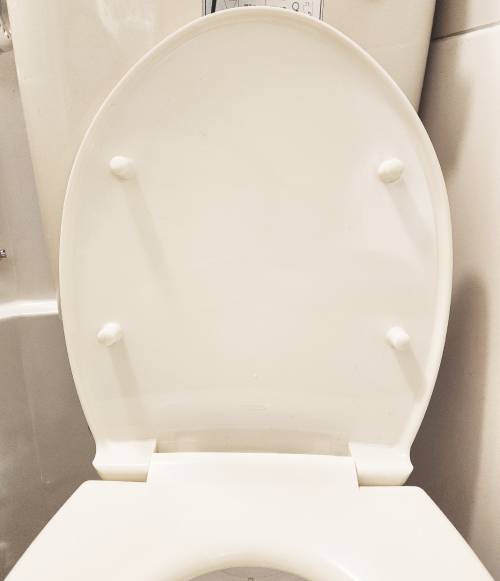 トイレの中の画像