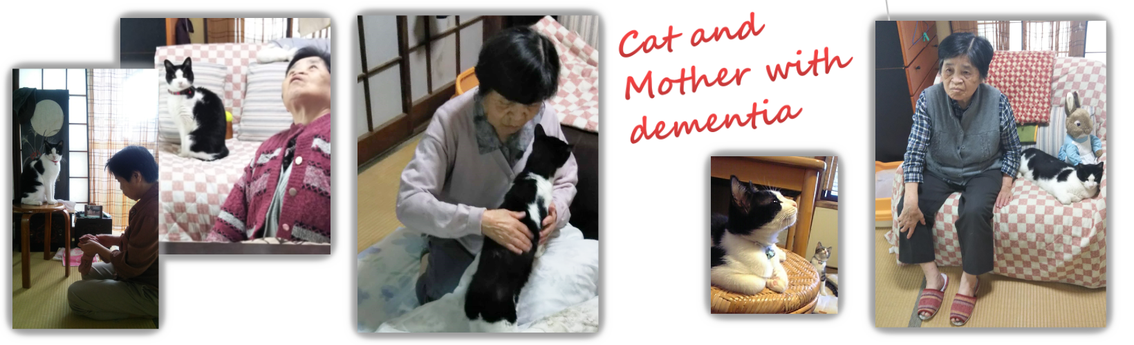 母と猫の2ショット画像4枚配置された画像。Cat and Mother with dementia の文字入り。