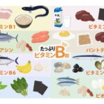 ビタミンB群を含む食品