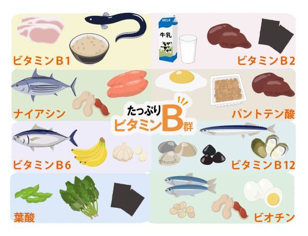 ビタミンB群を含む食品
