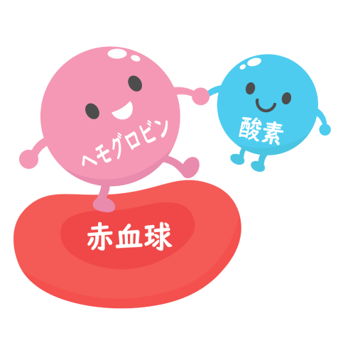 ヘモグロビンが赤血球に乗って、酸素と手を繋いでいるイラスト
