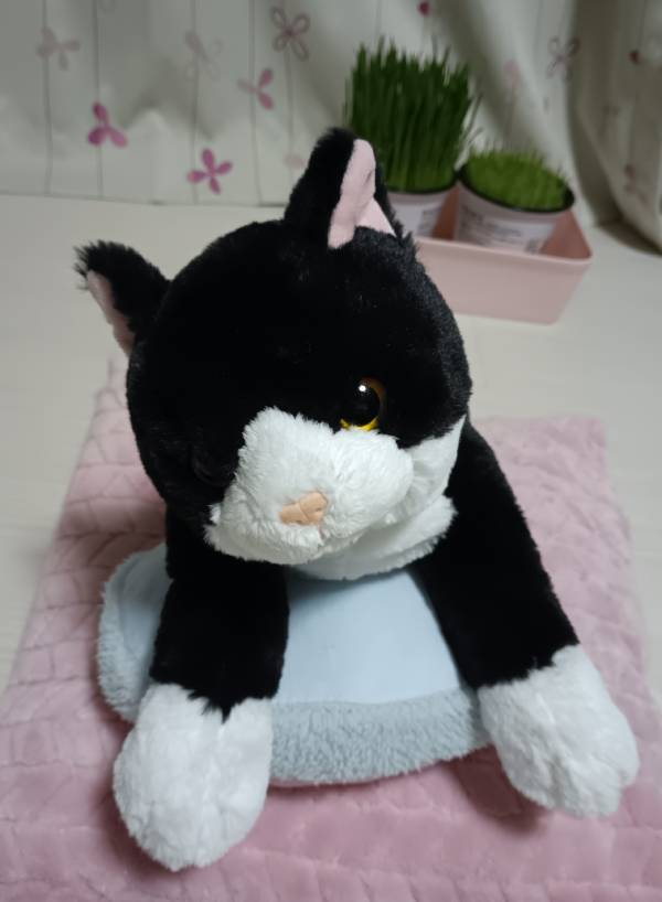 クッションの上に寝そべった猫のぬいぐるみの画像